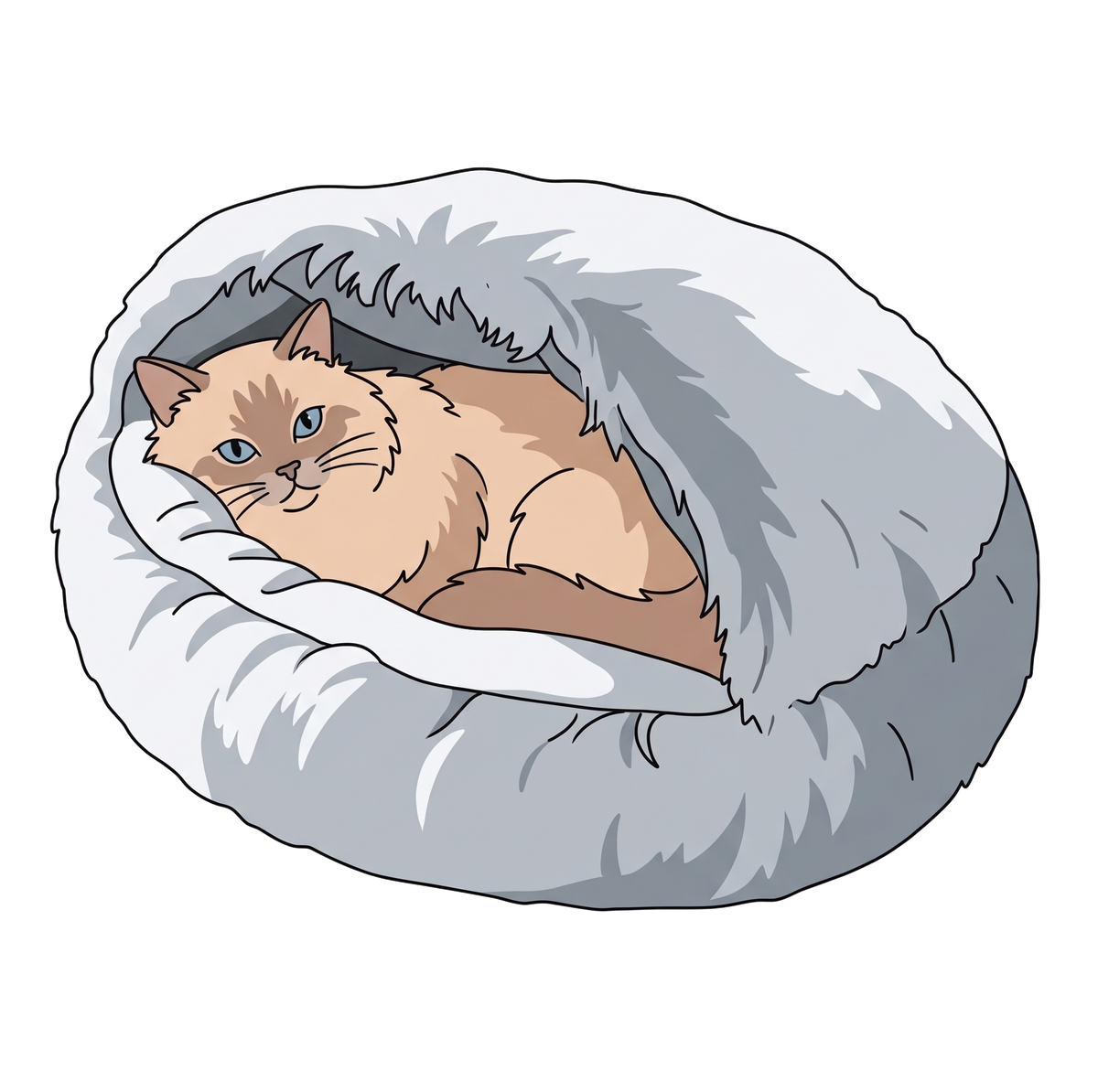 Cat Beds