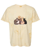 Unisex Blast T-Shirt | Comfort Colors 1745