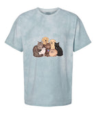 Unisex Blast T-Shirt | Comfort Colors 1745