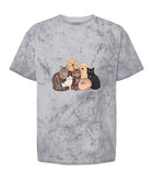 Unisex Blast T-Shirt | Comfort Colors 1745