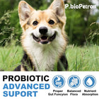 Probiotics for Dogs, Support Gut Health, Occasional Diarrhea, Digestive Health & Seasonal Allergies - Salmon Flavor, 100 Soft Chews