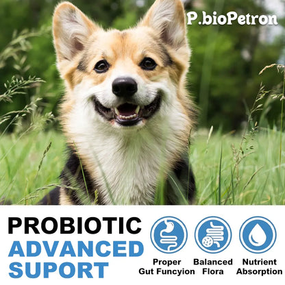Probiotics for Dogs, Support Gut Health, Occasional Diarrhea, Digestive Health & Seasonal Allergies - Salmon Flavor, 100 Soft Chews