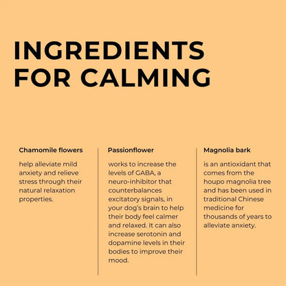 Calming Chews for Dogs - Supports Emotional Balance and Reduces Stress from Travel and Separation Anxiety