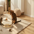 Cat Scratcher with Ball Track Toy, Sisal Scratch Pad for Indoor Use