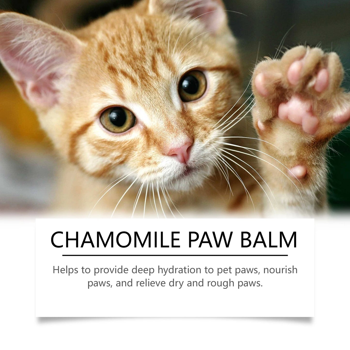 30G Pet Paw Care Balm Gentle Nourishing Skin Enhance Smoothness Repairing Damaged Skin Anti-chapping Softening Protect Pet Paw Balm for Cats & Dogs