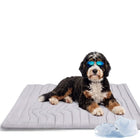 Arc-Chill Cooling Dog Mat - Polyester, Lightweight, Solid, Breathable, Fast-Cooling Pet Rest Mat with Multi-Sizes Option