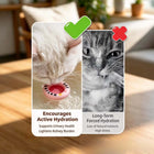 Bubbli™ Interactive Pet Bowl