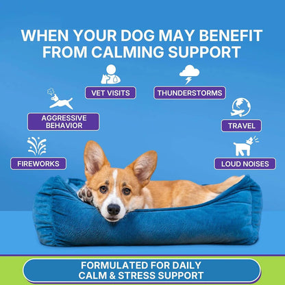 CalmPaw™ Relaxation Soft Chews