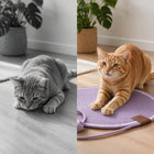 ClawRest™ Cat Scratching Mat