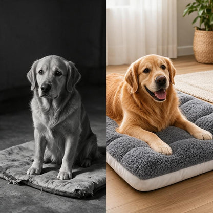 CloudPup™ Super Soft Dog Bed