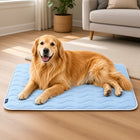 CoolPaw™ Breathable Cooling Dog Bed