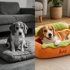 Dachshug™ Hot Dog Pet Bed