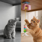 Dangli™ Electric Hanging Cat Toy