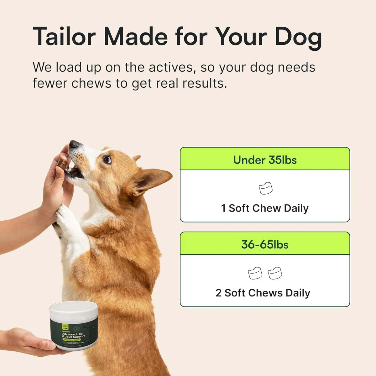 FlexiPaw™ Hip & Joint Chews