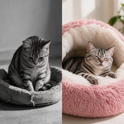 Furora™ Soft Enclosed Pet Bed