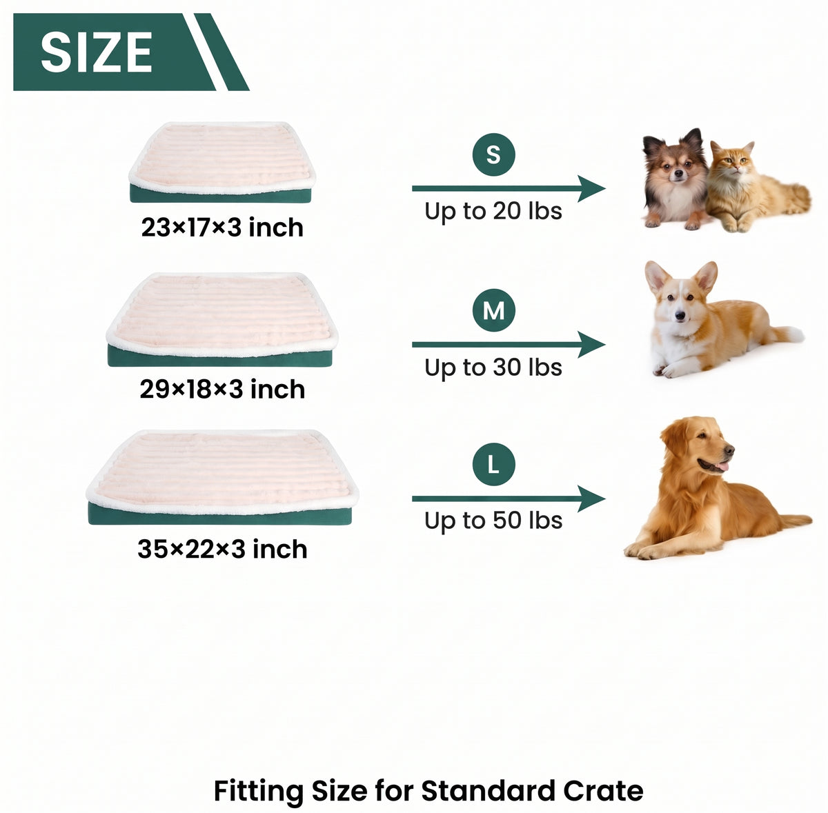 The Cloud-Nine Orthopedic Snooze Pad