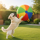 RumbleRanch™ Inflatable Herding Ball