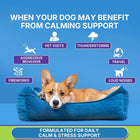 Calming with Melatonin Dog Supplement, Calming Aid for Dogs - Promote Relaxation, Reduce Stress, Motion Sickness - 60 Soft Chews