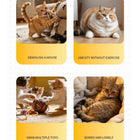 Automatic Cat Teaser Wall Mount Interactive Moving Toy Electric Pet Games Kitten Exercise Mental Stimulation Play for Indoor