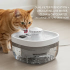 Pet Water Fountain 1.85Gal Large Capacity, Ultra-Quiet 30dB Cat Drinking Dispenser with 2 Filters, 5V USB Pump Auto Circulating, Anti-Dry Burn for Dogs Cats, White