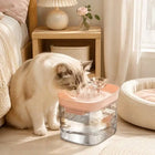 Automatic Pet Water Fountain for Cats and Dogs, USB Powered Circulating Water Dispenser, Quiet Filtered Oxygenated Flowing Water, Large Capacity Easy to Clean, Halloween Christmas Gift (Battery Not Included)
