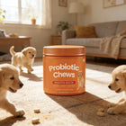 Dog Probiotic Chews  Digestive Health Support Chicken Flavor 120 Count Soft Chews Gut & Immune Support Supplement for Dogs