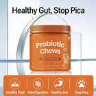 Dog Probiotic Chews  Digestive Health Support Chicken Flavor 120 Count Soft Chews Gut & Immune Support Supplement for Dogs