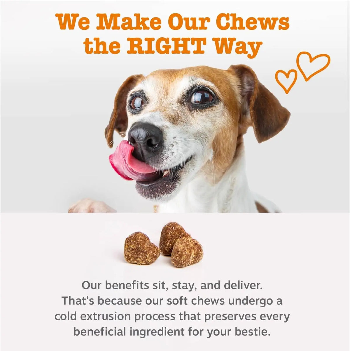 Dog Allergy & Immune Bites for Samll Medium Large, Dog Probiotics Chews for Itchy Skin and Ears - Lamb, Peanut Butter, Salmon