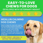 Calming with Melatonin Dog Supplement, Calming Aid for Dogs - Promote Relaxation, Reduce Stress, Motion Sickness - 60 Soft Chews