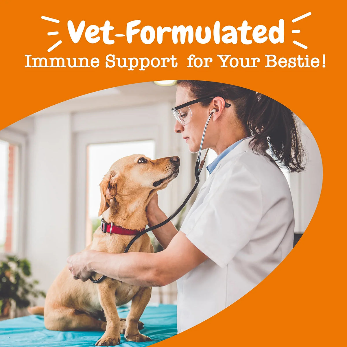 Dog Allergy & Immune Bites for Samll Medium Large, Dog Probiotics Chews for Itchy Skin and Ears - Lamb, Peanut Butter, Salmon