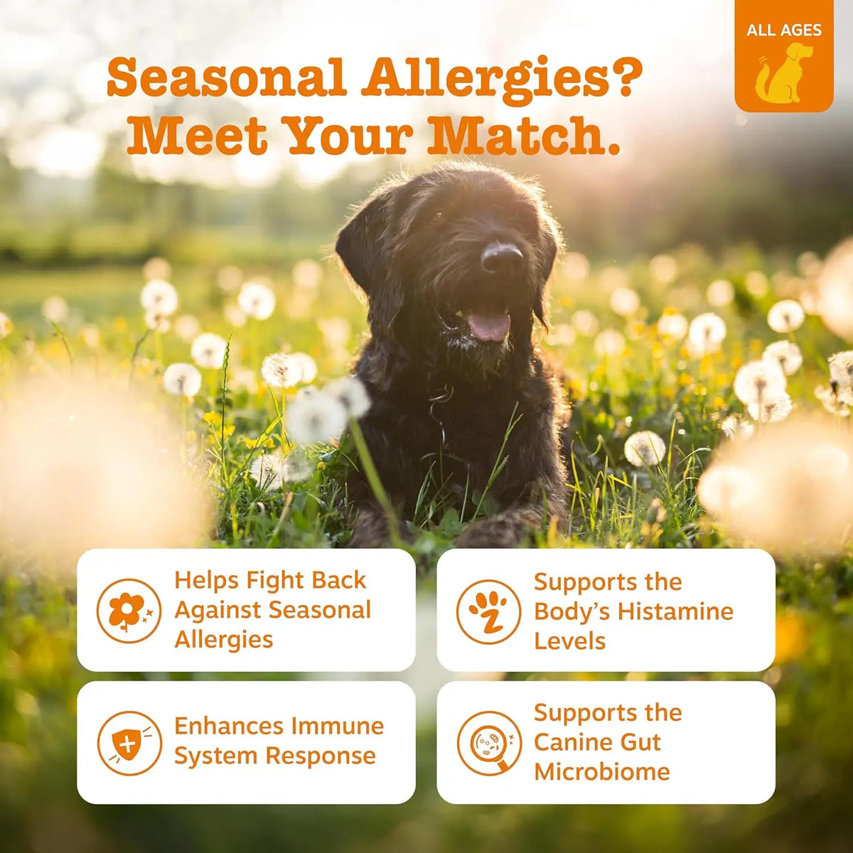 Dog Allergy & Immune Bites for Samll Medium Large, Dog Probiotics Chews for Itchy Skin and Ears - Lamb, Peanut Butter, Salmon