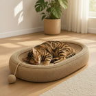 A sleeping tabby cat rests inside a woven oval cat bed on a light wood floor, with a potted plant and curtains in the background.