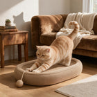 An orange tabby cat stretches on a woven oval cat bed with a dangling toy ball, placed in a sunlit living room with a brown sofa and wooden floor.