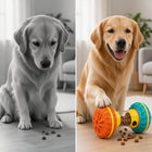 PupEngage™ Enrichment Treat Toy