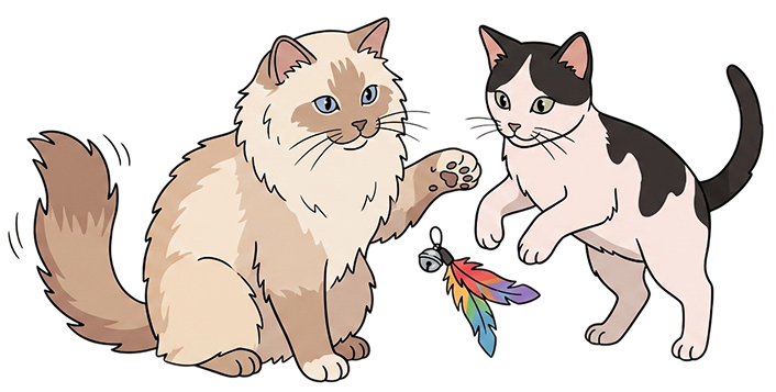 Upgrade Your Pet's Lifestyle
