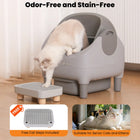 Upgraded Self-Cleaning Cat Litter Box with Raised Step, Monitor + Control via Smart App, Odor Control & Health Monitoring & Safety Protection & Low Noise, Large Automatic Litter Box for Multiple Cats