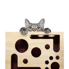 Wood Cat Maze Toys Durable Interactive Ball Pet Nail File Box Maze Tunnel Cat Sandpaper inside Cat Exercise Kitten Supply
