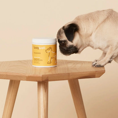 Calming Chews for Dogs - Supports Emotional Balance and Reduces Stress from Travel and Separation Anxiety