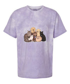 Unisex Blast T-Shirt | Comfort Colors 1745