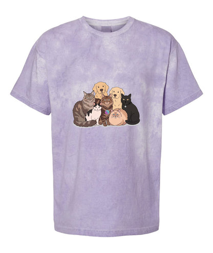 Unisex Blast T-Shirt | Comfort Colors 1745